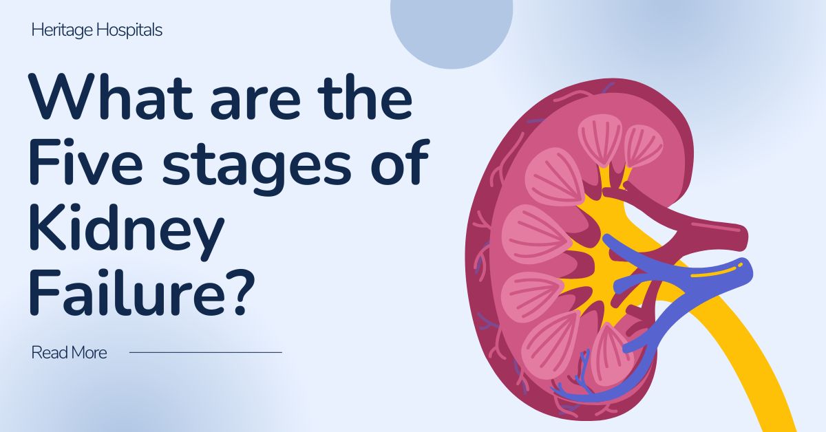 what-are-the-5-stages-of-kidney-failure